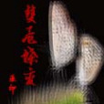 雙飛蝶變