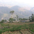 三家村村(雲南省昆明市東川區湯丹鎮三家村村) 三家村村(雲南省昆明市東川區湯丹鎮三家村村)