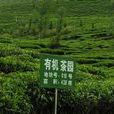 有機茶園 有機茶園