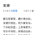 紫藤(白居易詩)