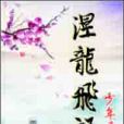 涅龍飛語