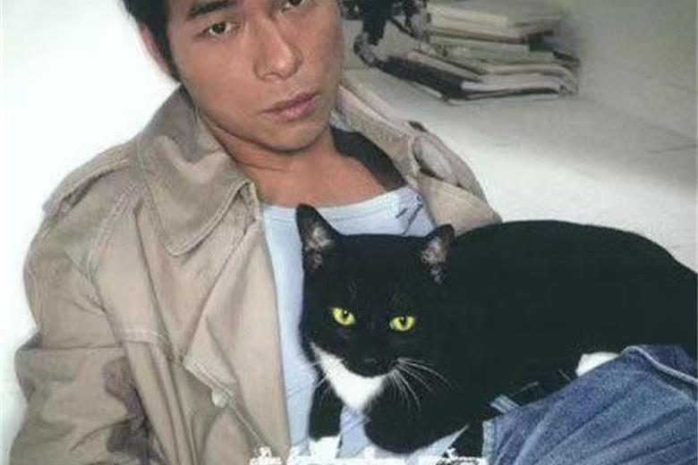 My Love(許志安演唱的歌曲) My Love(許志安演唱的歌曲)