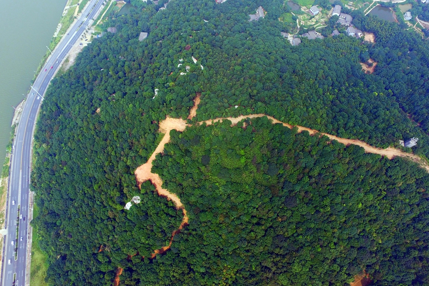 鵝羊山 鵝羊山