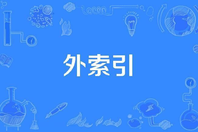 外索引