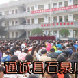 通城縣雋水鎮石泉國小(石泉國小)