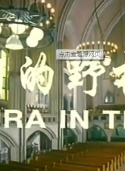 劉小鋒(中國內地影視男演員)
