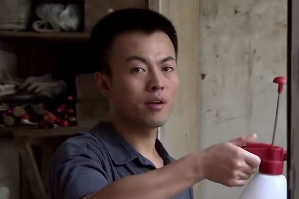 林大樹(生活勵志劇《我是一棵小草》中的角色) 林大樹(生活勵志劇《我是一棵小草》中的角色)