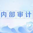 內部審計(中國普通高等學校本科專業) 內部審計(中國普通高等學校本科專業)