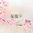 征服下 征服下