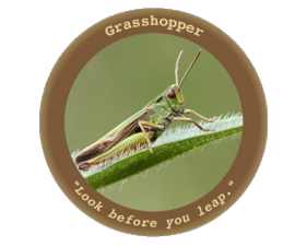 4. Grasshopper logo