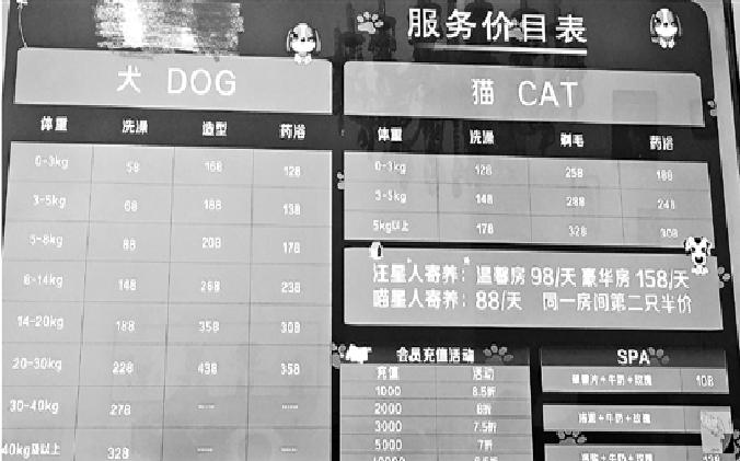 2018年中國寵物行業白皮書