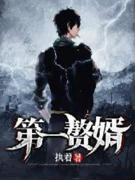 第一贅婿(執著所著小說) 第一贅婿(執著所著小說)