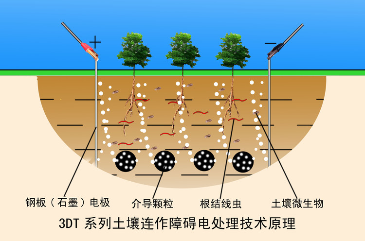 土壤電消毒法說明示意圖