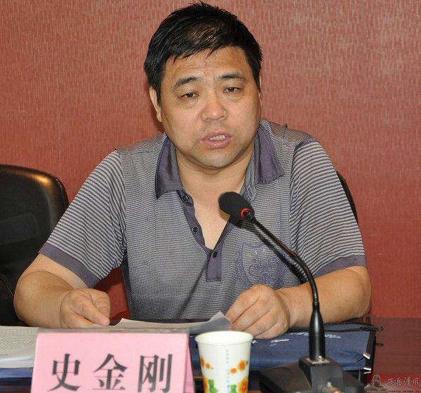 史金剛 史金剛