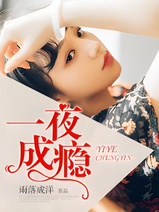 一夜成癮 一夜成癮