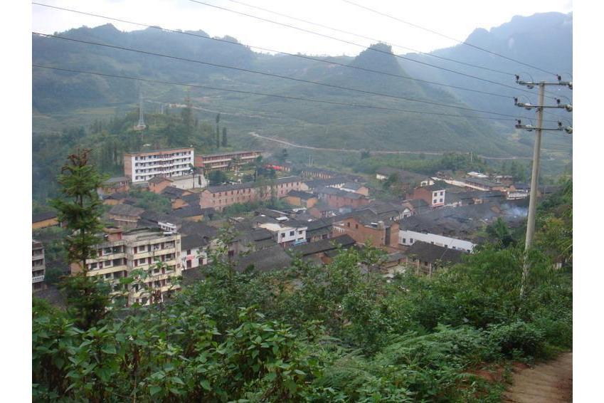 畜牧廠村 畜牧廠村