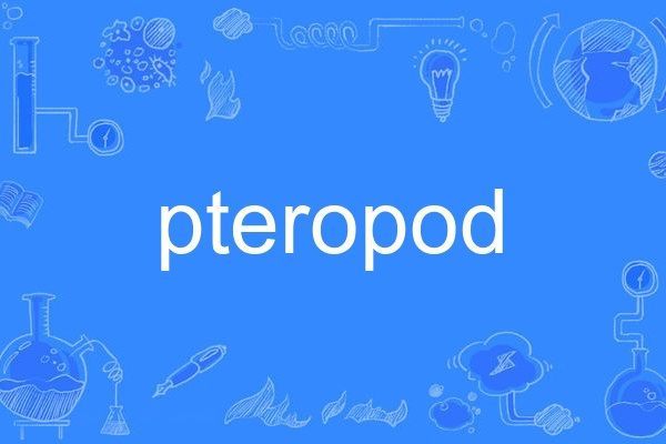 pteropod pteropod