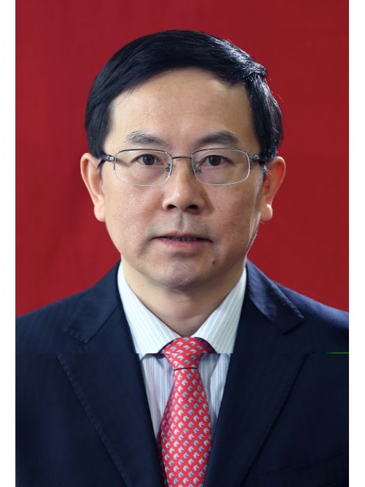 劉輝(東方電氣集團東方電機有限公司黨委書記、董事長)