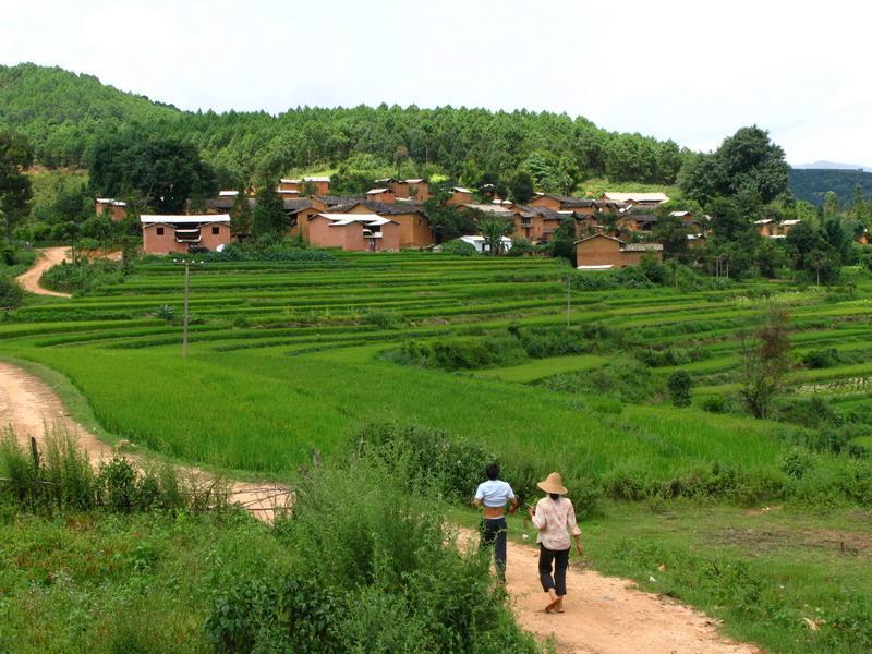塘期嶺村 塘期嶺村