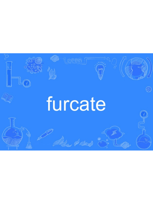 furcate furcate