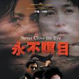 永不瞑目(1998年趙寶剛執導電視劇)