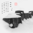 南秦雪 南秦雪