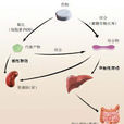 分布(藥代動力學概念) 分布(藥代動力學概念)