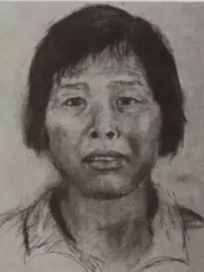 梅姨案 梅姨案