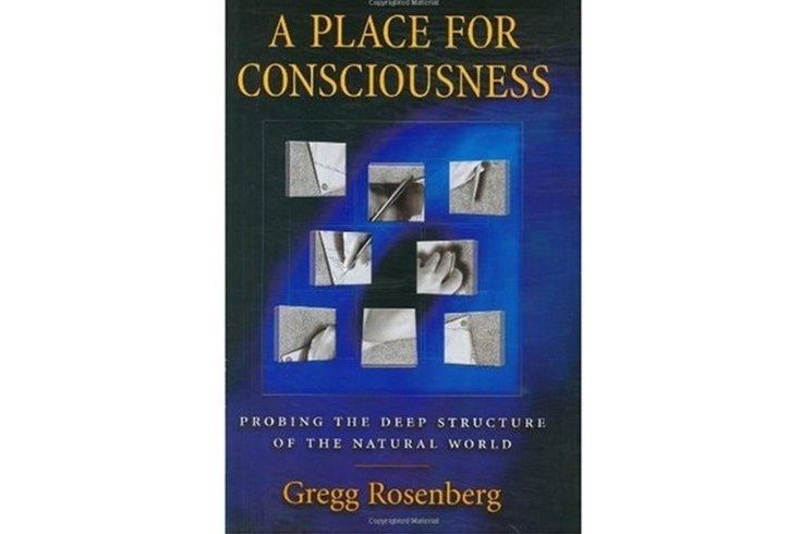 A Place for Consciousness A Place for Consciousness