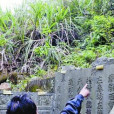 趙新墓 趙新墓