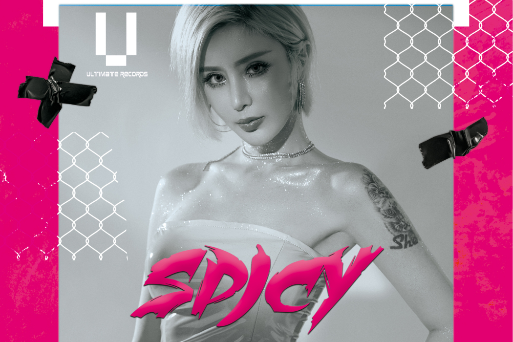 STARS(Dj Spicy 製作的歌曲) STARS(Dj Spicy 製作的歌曲)