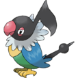 聒噪鳥 聒噪鳥