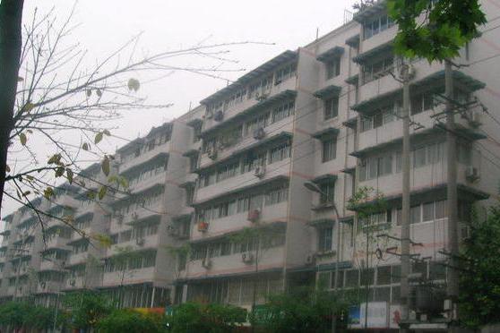加洲派 加洲派