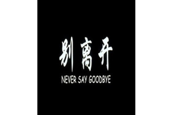 別離開(2004年孫小茹執導的電影) 別離開(2004年孫小茹執導的電影)