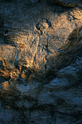 具茨山岩畫