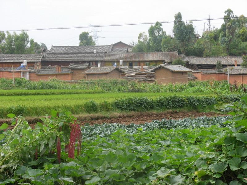 楊基屯村 楊基屯村