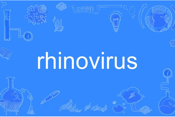 rhinovirus rhinovirus