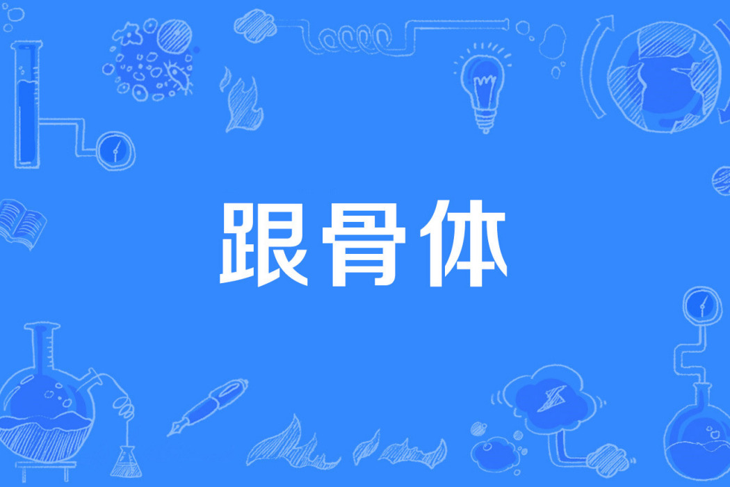 跟骨體 跟骨體