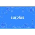 surplus(英語單詞)