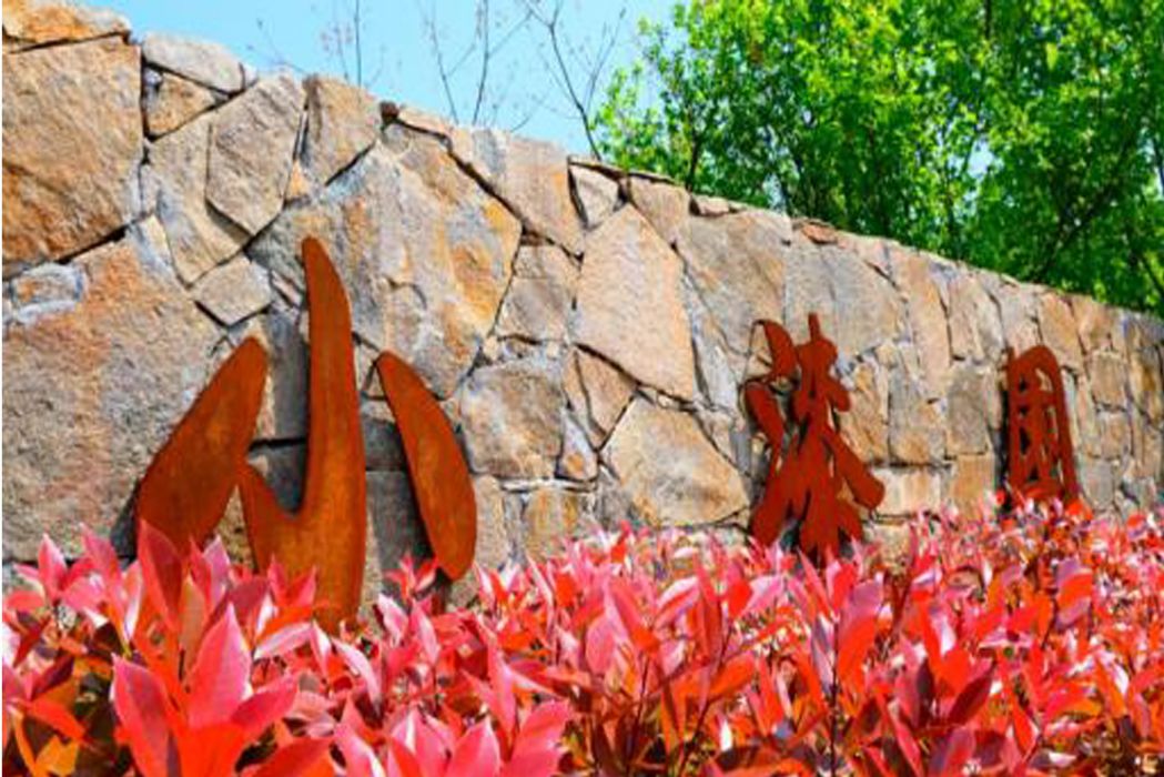小漆園村 小漆園村