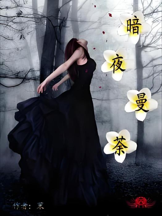 暗夜曼荼 暗夜曼荼