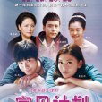 寶貝計畫(2011年沈濤執導的電視劇) 寶貝計畫(2011年沈濤執導的電視劇)
