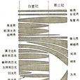 大絕滅 大絕滅