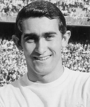 皮里(1945年生西班牙足球運動員)