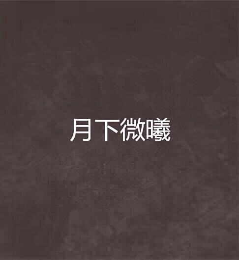 月下微曦 月下微曦
