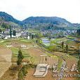 廟兒坡村 廟兒坡村