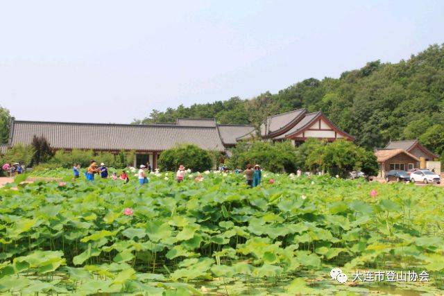 千年古蓮園