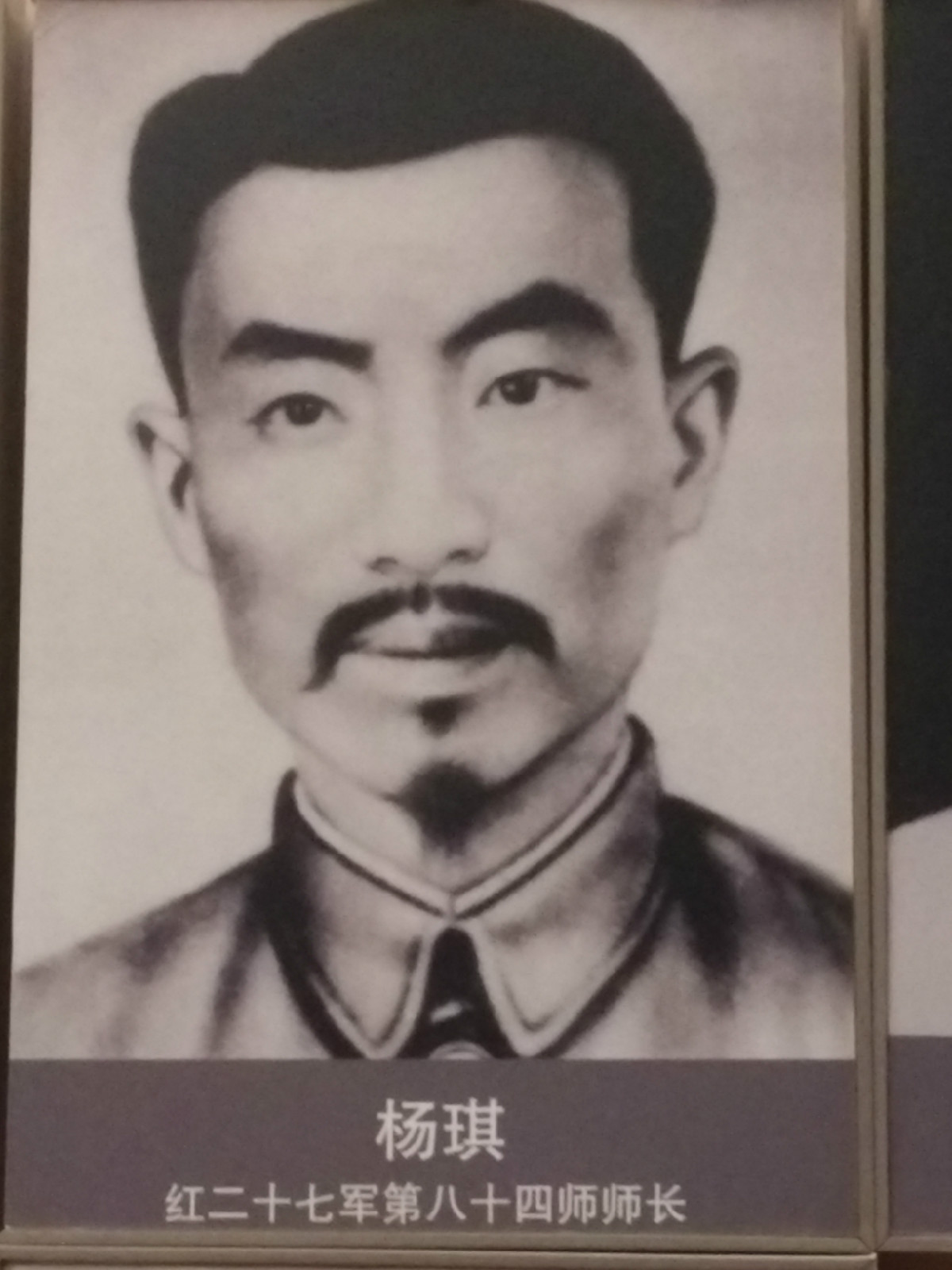 楊琪(中國近代革命烈士)
