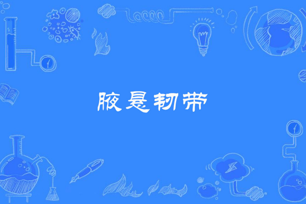 腋懸韌帶 腋懸韌帶