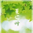 夏之葉 夏之葉